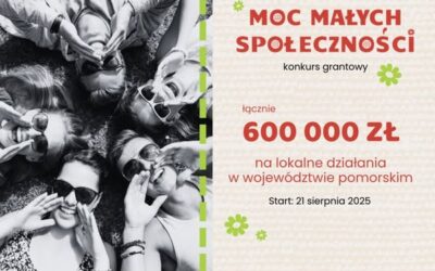 Akumulator Społeczny – Moc Małych Społeczności