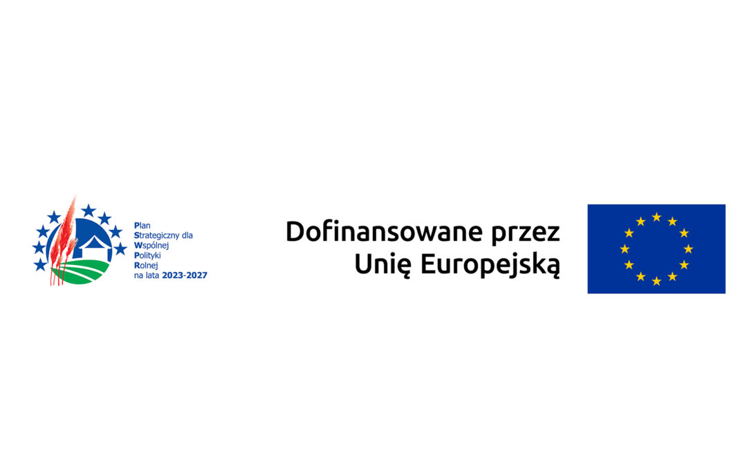 Nabory dla NGO w ramach LSR 2021–2027 na obszarze nadwiślańskim